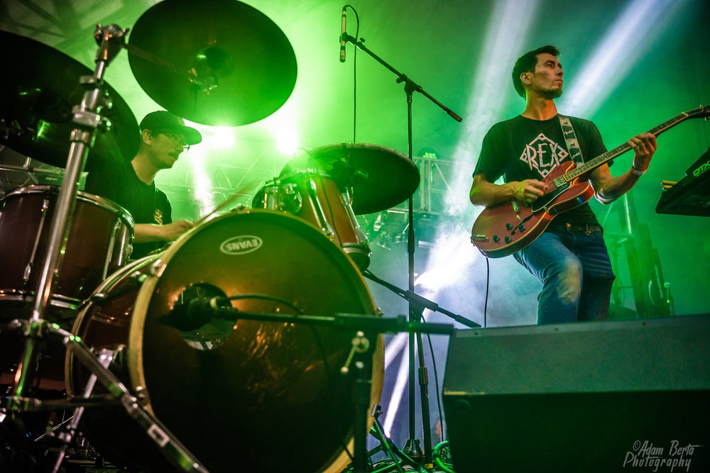 Chalk Dinosaur band photo