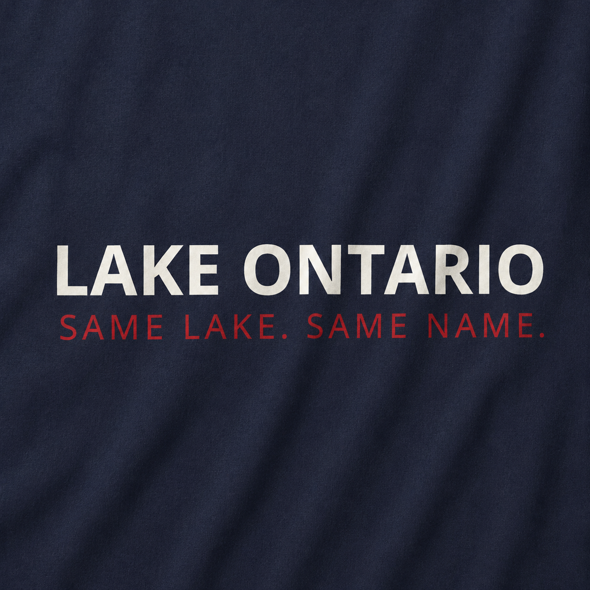 Lake Ontario Same Lake Same Name Tee