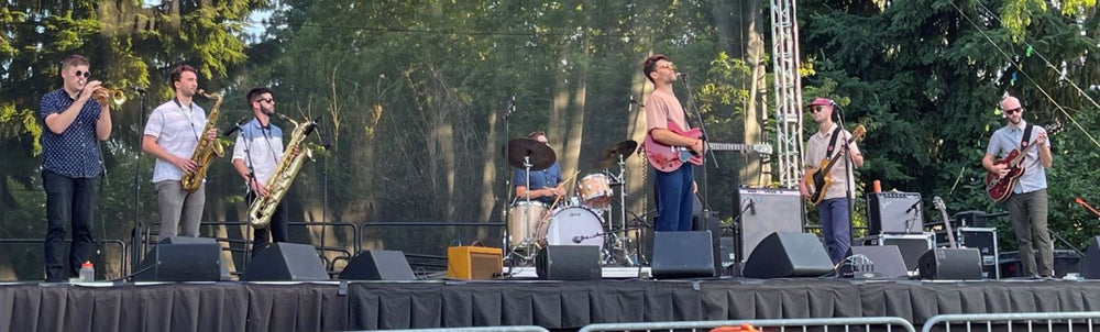 The Dip band